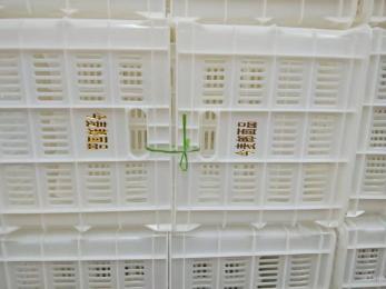 今麥郎、丹尼斯塑料筐